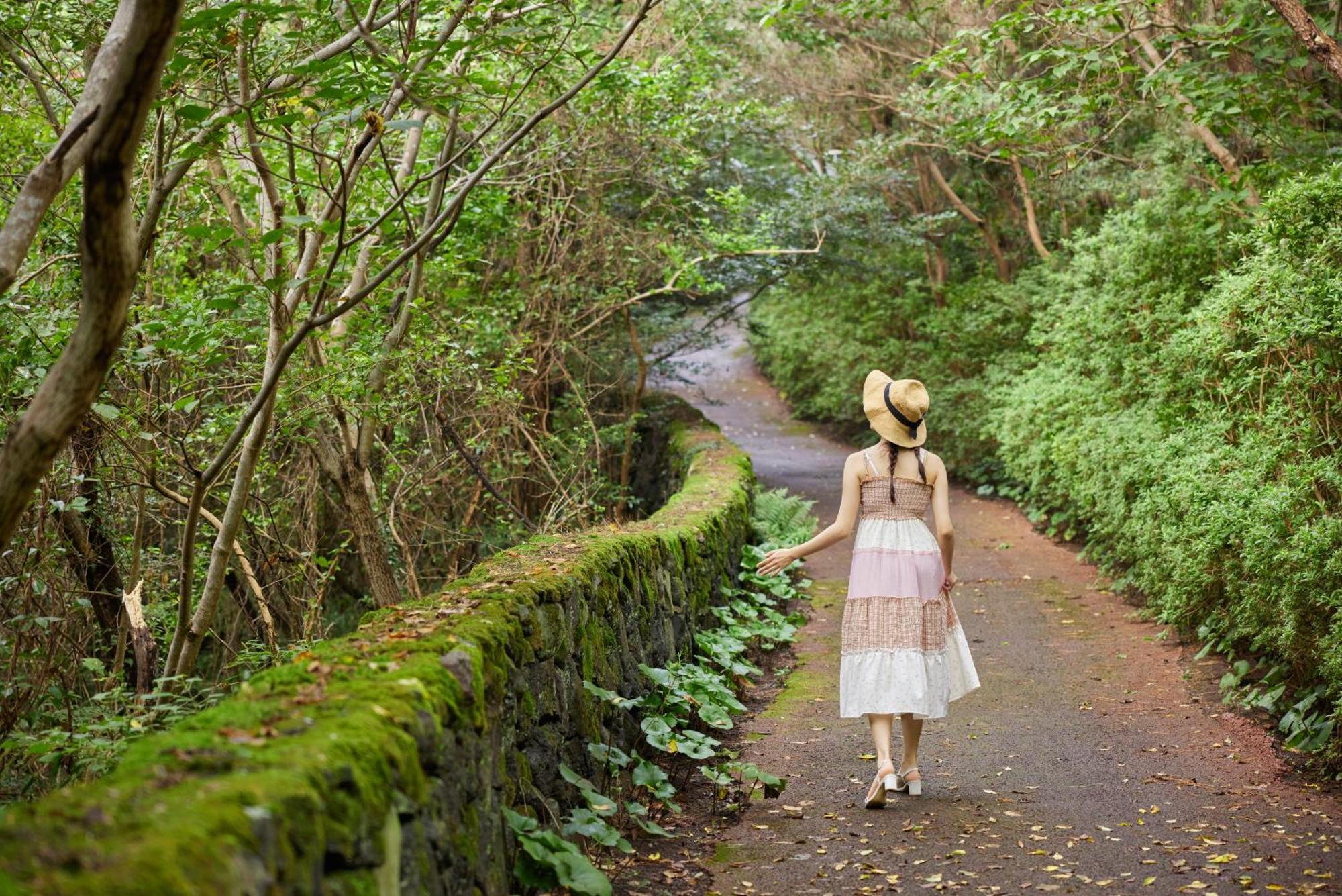 ウィー ホテル 済州 ソギポ エクステリア 写真